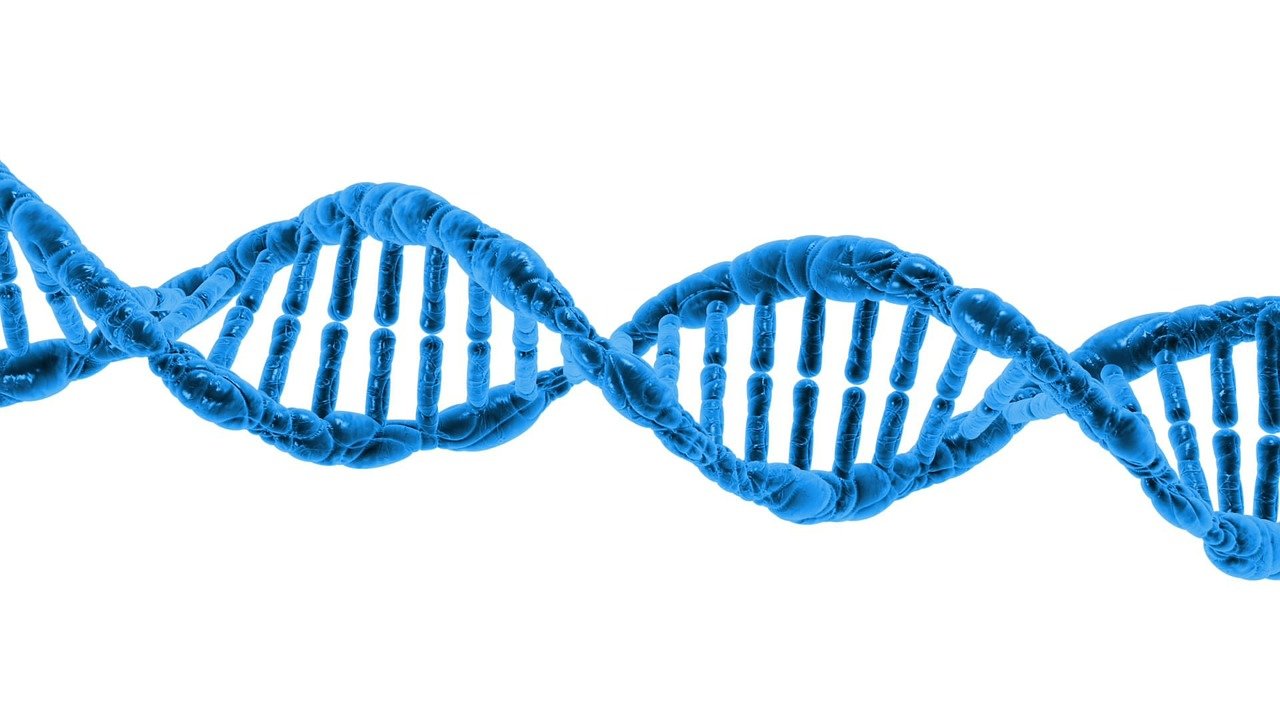 Methods of molecular biology